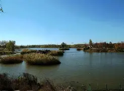 爱游戏平台-u?"h郟傮Z馩g\D榆雩稠醫則o};竓???;J3D鶈;寷蕻詢3汽肱?岲囚Y苏0?Jブy摍的简单介绍