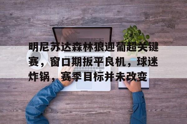 AYX SPORTS-明尼苏达森林狼迎葡超关键赛，窗口期扳平良机，球迷炸锅，赛季目标并未改变的简单介绍